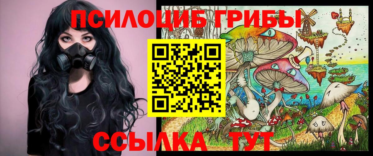 Оренбург  Галлюциногенные грибы Magic Shrooms  Вход с VPN 